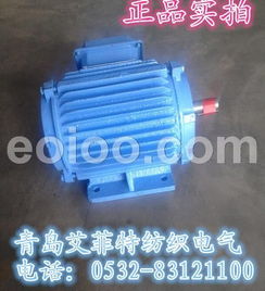 變頻調(diào)速三相異步電動(dòng)機(jī)