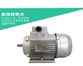 上海德東電機(jī)廠