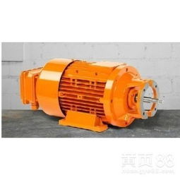 【德國theo-halter電機,dpin-90s-4u,特種電機】-